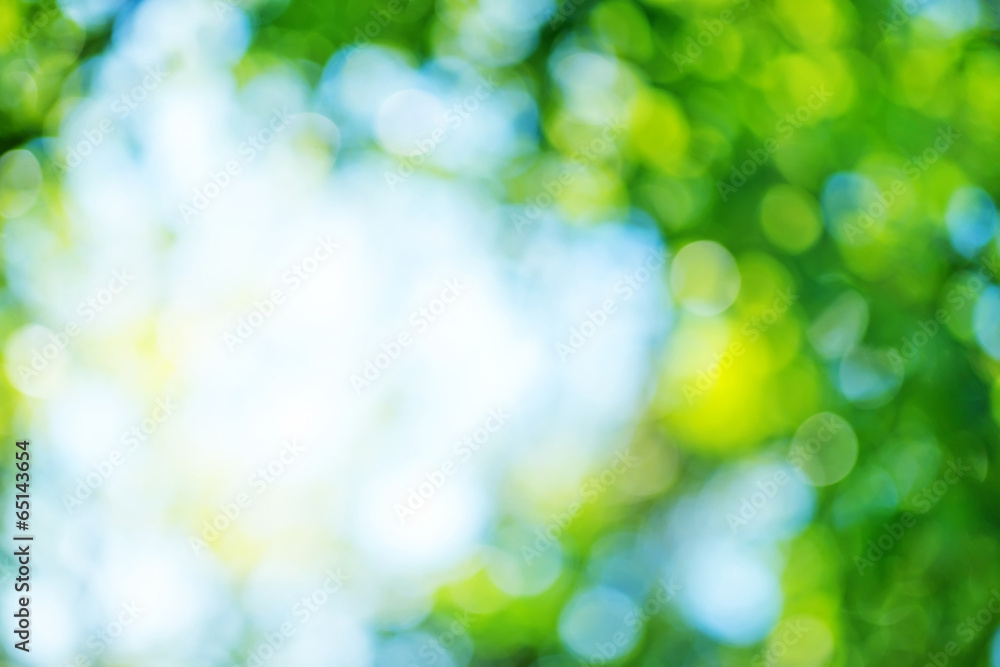 Fototapeta premium bokeh