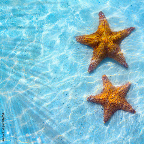 Abstract Blue sea tropical background with starfish on sand