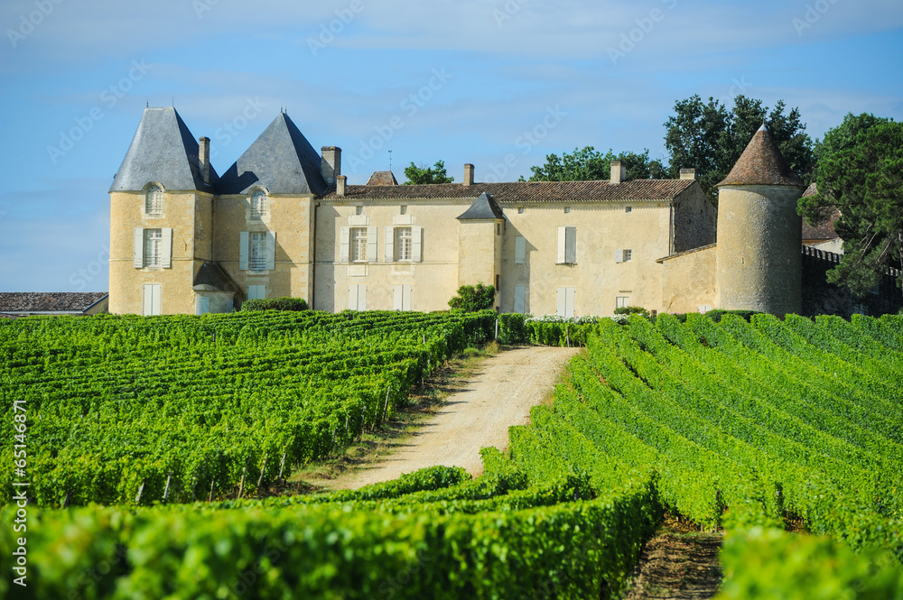 Vineyard and Chateau d'Yquem, Sauternes Region, Aquitaine, Franc