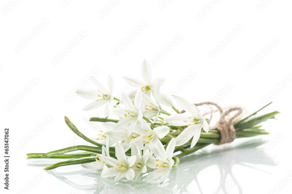 Fototapeta premium beautiful bouquet of white flowers