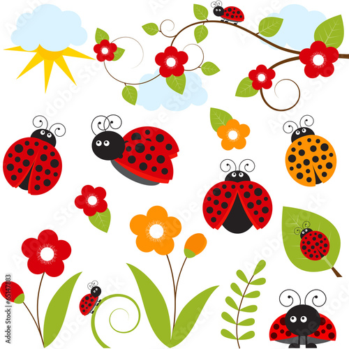 Ladybug Set