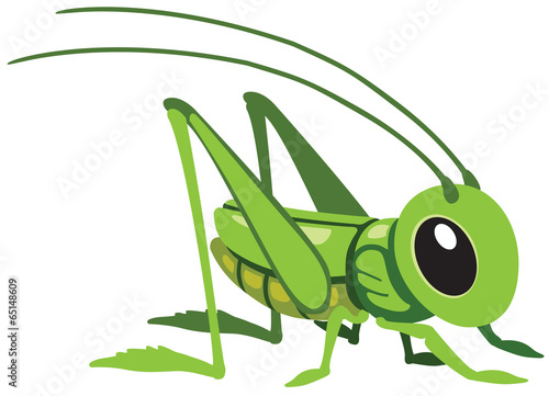Tableau sur toile cartoon grasshopper
