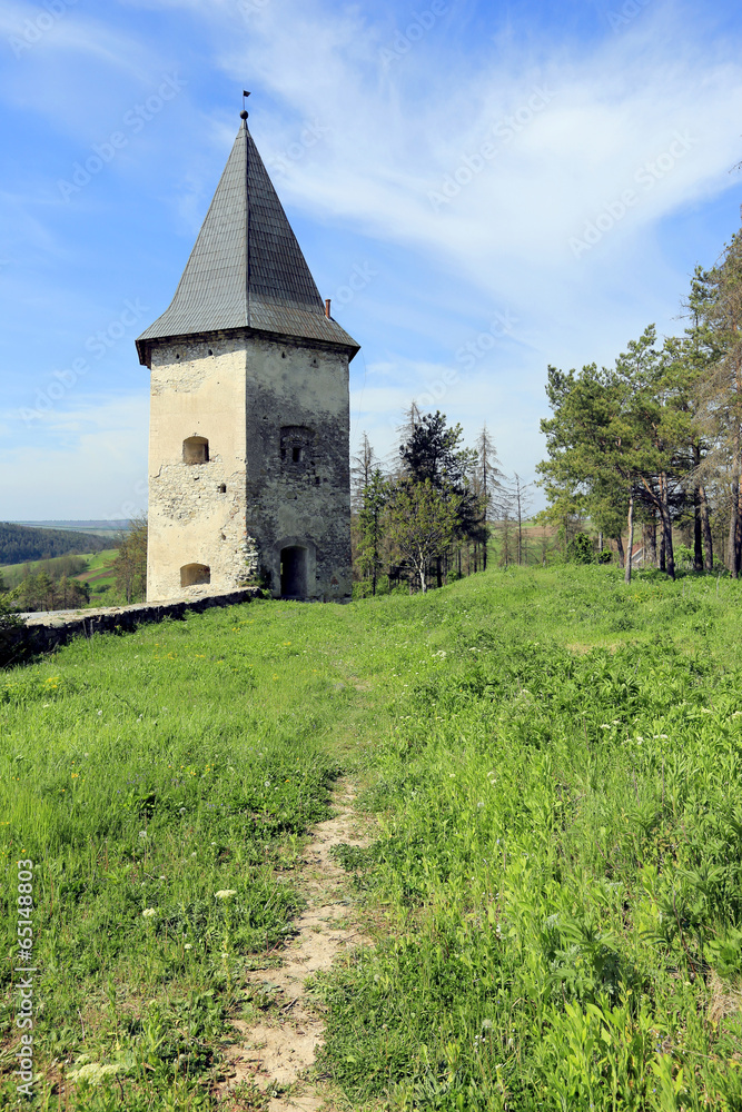 old fortress in forest at nice day