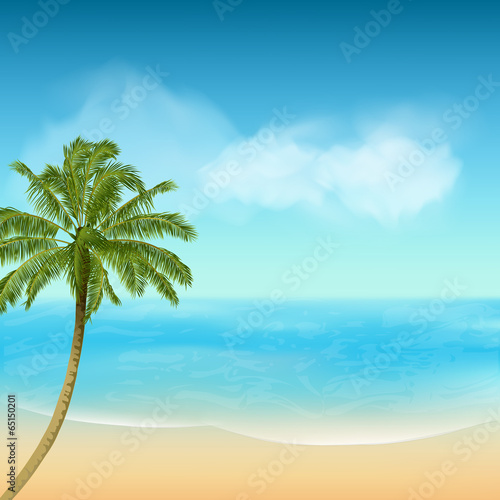 Fototapeta Naklejka Na Ścianę i Meble -  summer sea and palm tree background
