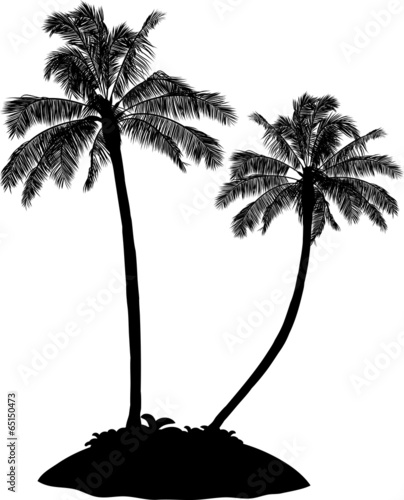 palm tree silhouette on white