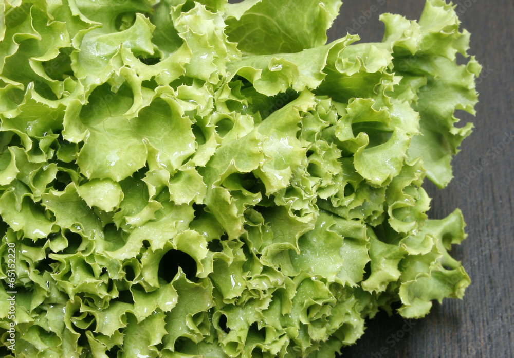 Fresh green lettuce Fresh green lettuce