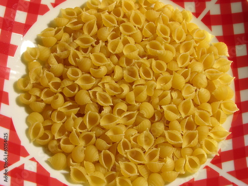 conchiglie di pasta photo