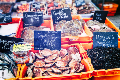 Fresh scallops and mussels at fish market photo