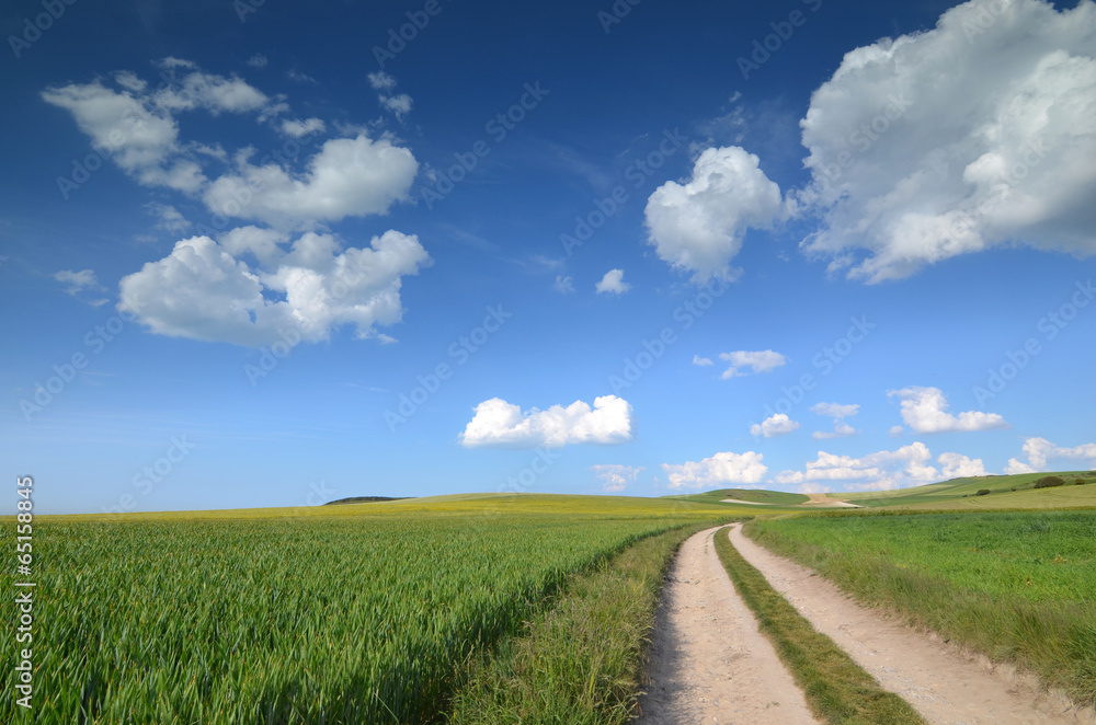 chemin entre les blés