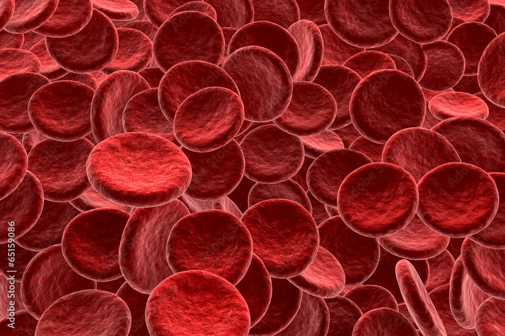 Red blood cells