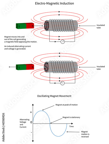 Electro-magnetic induction of a current in a coil