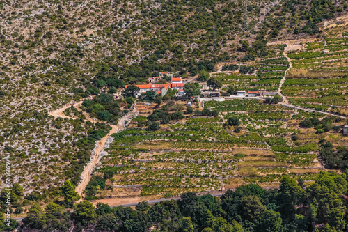 Dingac vineyards on Peljesac peninsula photo