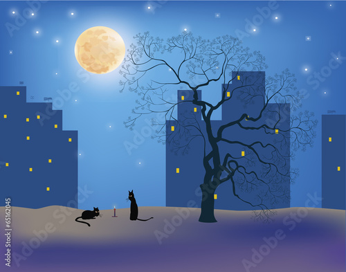 Cats .Сats in the moonlight on the roofs of the city