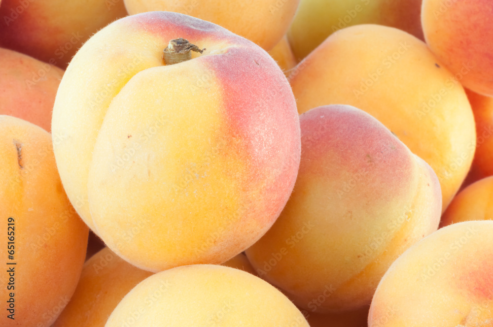 beautiful background of apricot beautiful background of apricot