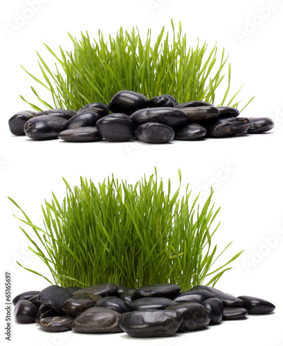 фотографія grass and stones isolated on white background