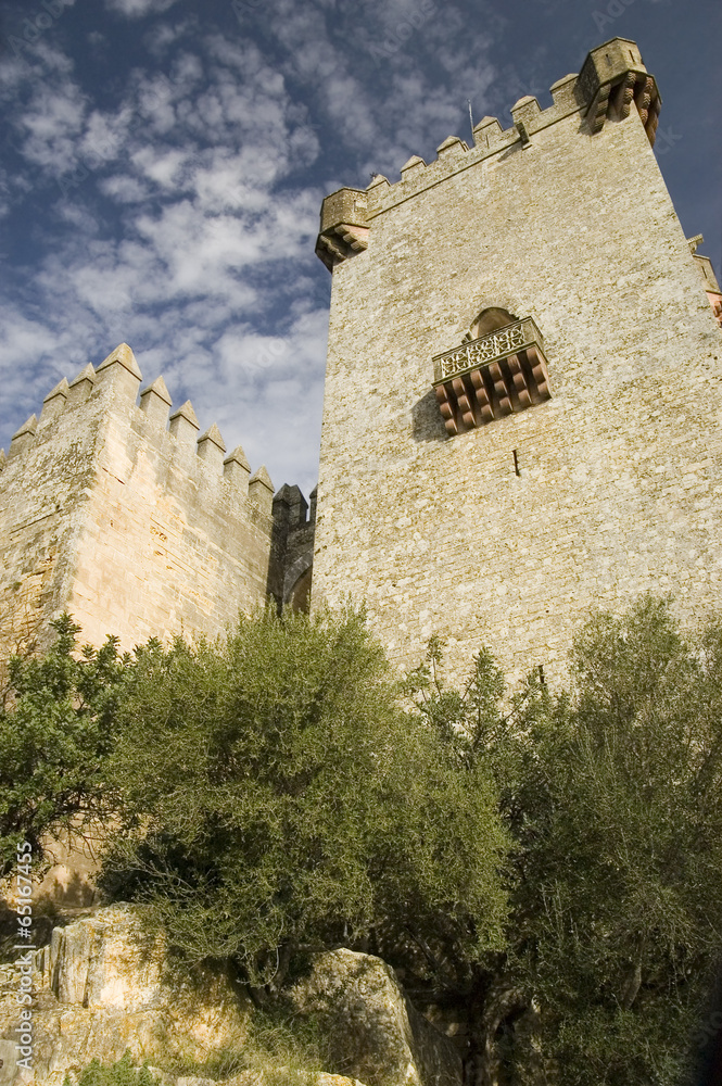 Tower of a medieval castle. Andalusia province, Spain.