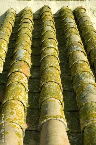 Roof tiles. Carmona Fortress.