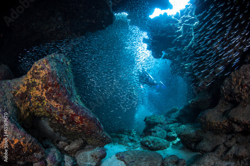 Diver in Underwater Cavern #65169670