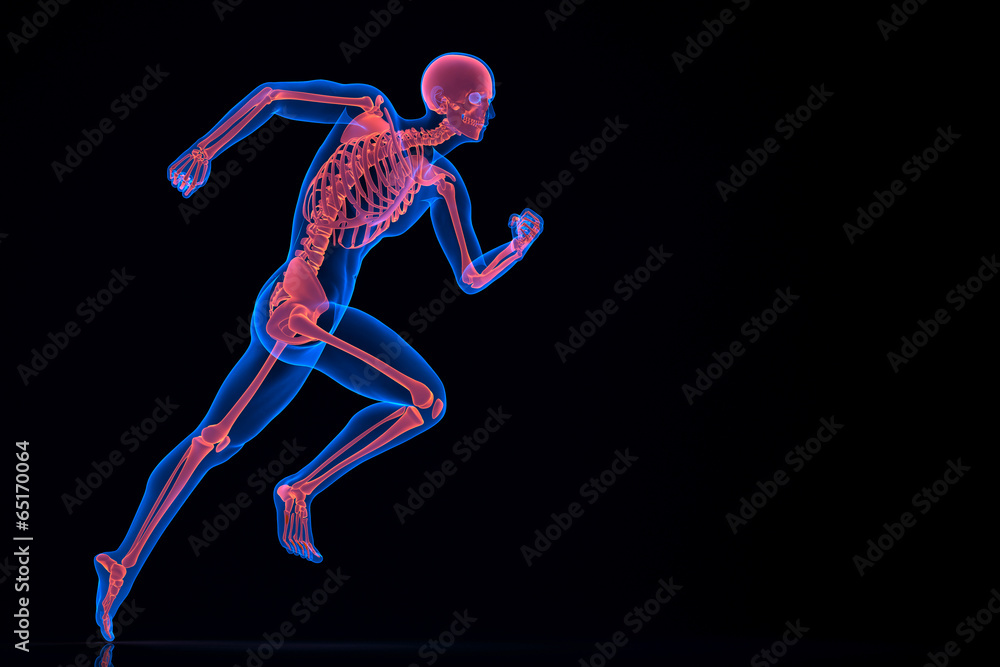 Running 3d skeleton. Contains clipping path