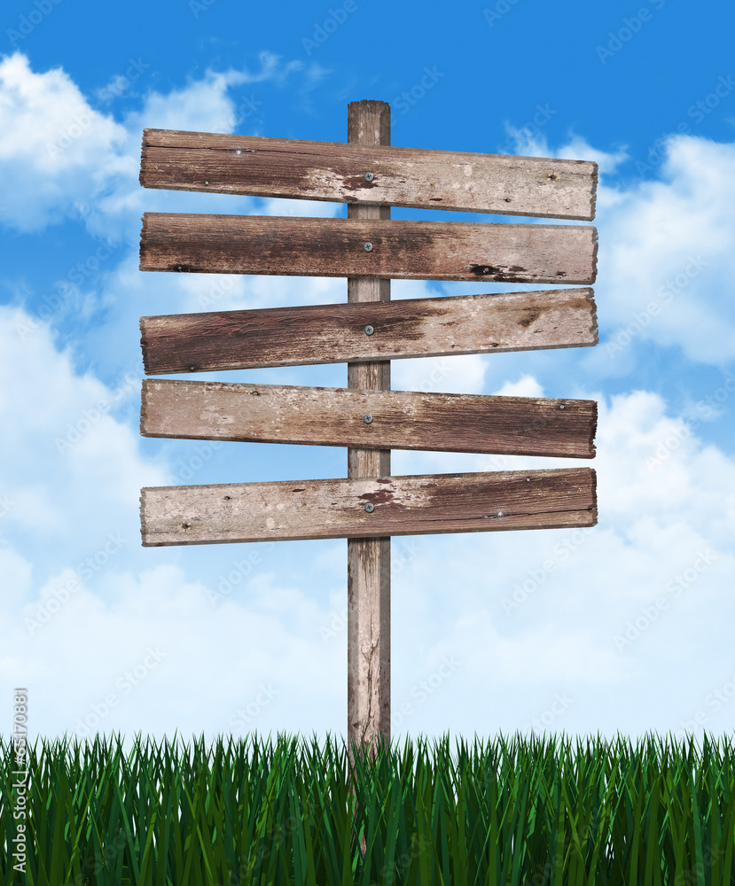 Fototapeta premium Wood sign in green grass on sky background 