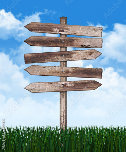 Wood sign in green grass on sky background  photo