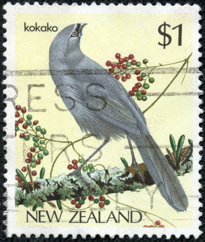 stamp printed in New Zealand shows bird, Kokako photo