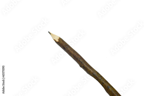 Branch Pencil