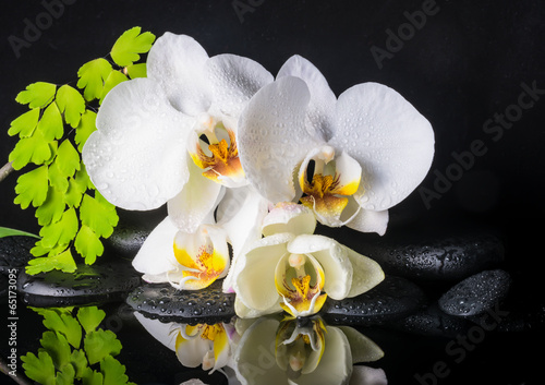 Beautiful spa setting of white orchid (phalaenopsis), green bran