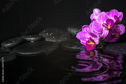 Spa concept of beautiful branches stripped lilac orchid (phalaen