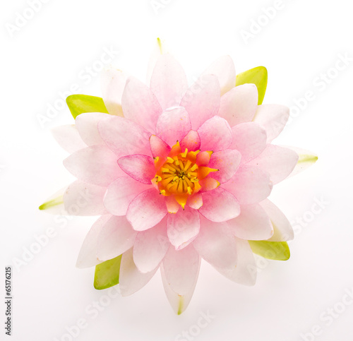 Lotus flower isolated white background