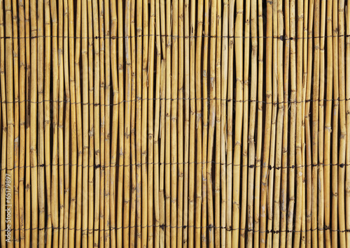 Background Bambus