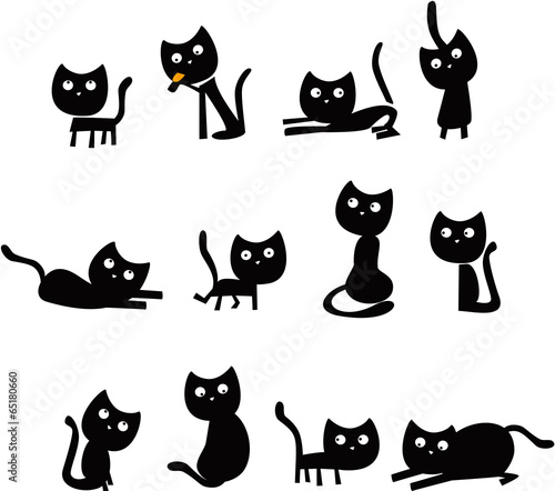 Funny black cats