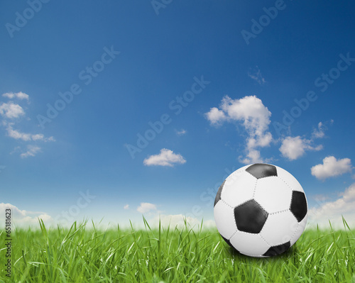 Fußball auf dem Spielfeld © Coloures-Pic