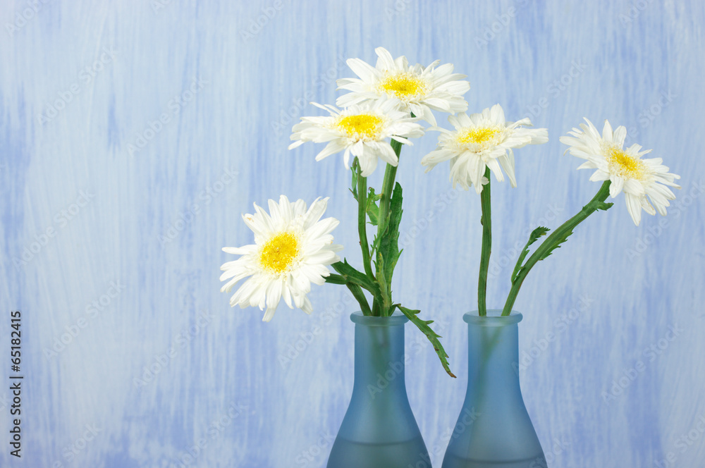 Daisy bouquet Daisy bouquet