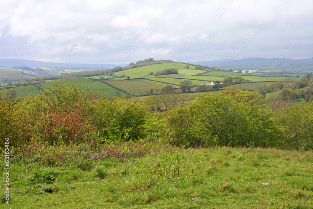 Naklejka premium Devon countryside