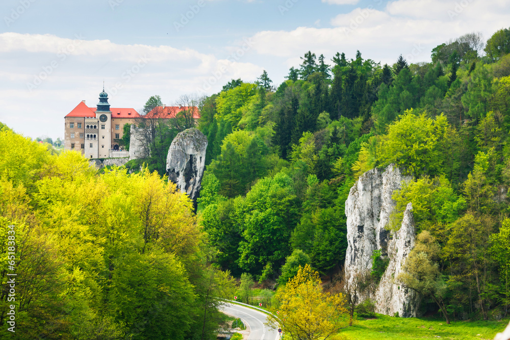 Obraz premium Castle Pieskowa Skala in National Ojcow Park, Poland