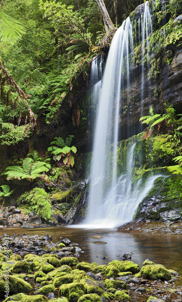 Fototapeta premium Falls Russel Tasmania Vertical