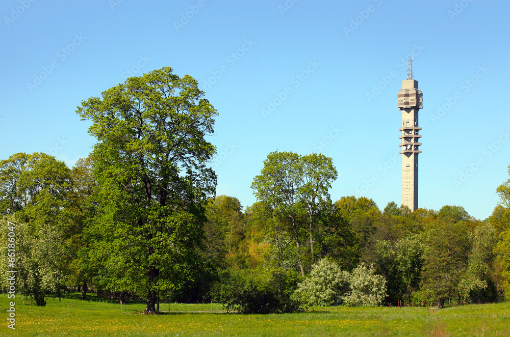 Obraz premium Stockholms TV-Tower