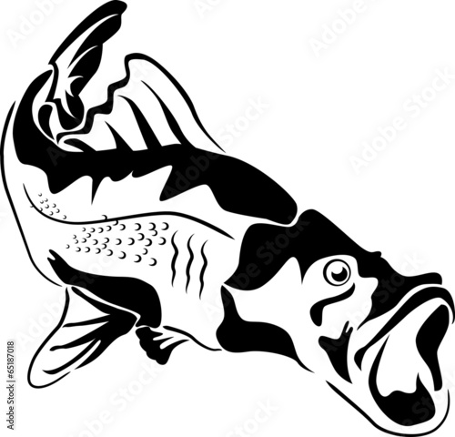 Predator fish