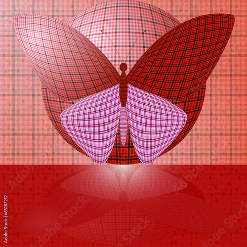 butterfly on the ball