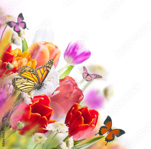 Fototapeta Naklejka Na Ścianę i Meble -  Red tulips with green grass and butterfly.