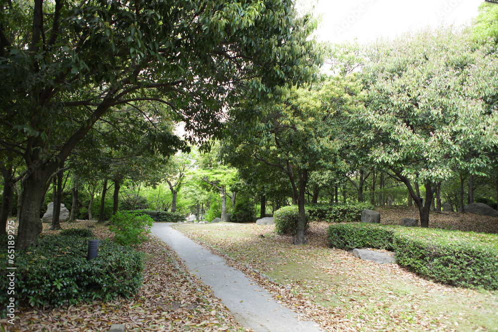 The image of beautiful scenery The image of beautiful scenery