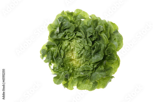 Salate (Lactuca sativa var. . Capitata ) , close up