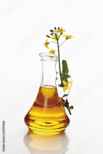Rapsöl im ​​Glas mit Rapsblüte auf weißem Hintergrund