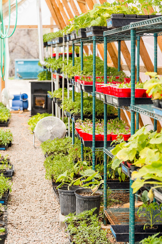 Greenhouse photo