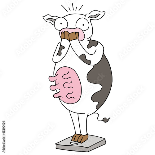 Fat Cow