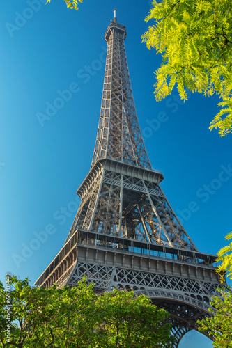 Tour Eiffel PARIS © rochagneux