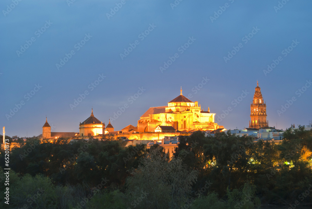 Fototapeta premium Mezquita Cathedral in Cordoba at night, Andalusia, Spain.