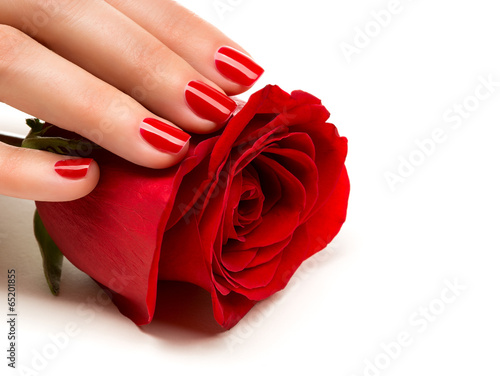 Obraz na plátně Woman hands with manicure red nails closeup and rose.