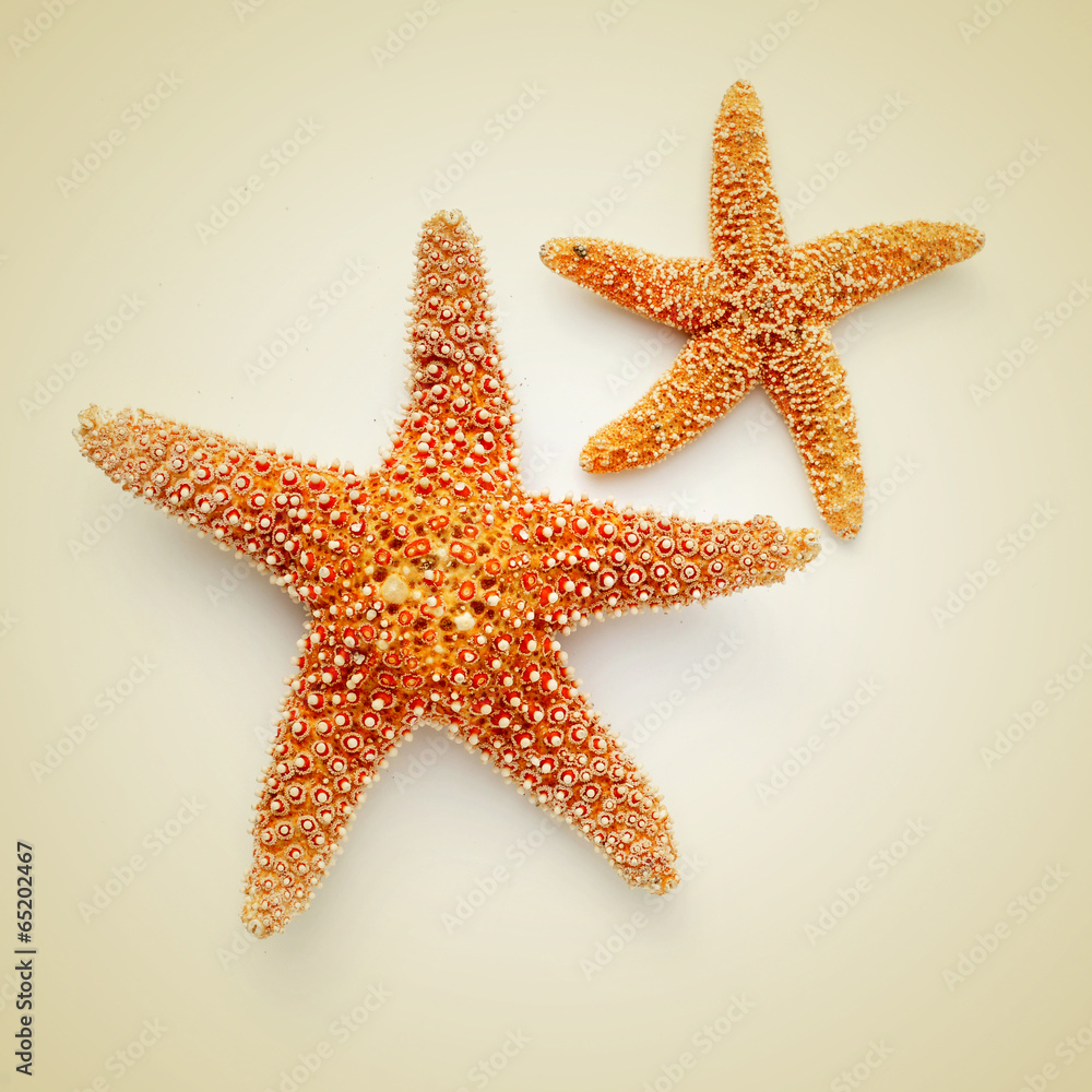 starfishes on a beige background, with a retro effect starfishes on a beige background, with a retro effect